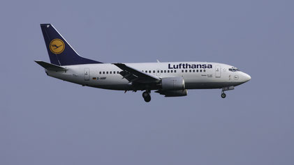 --- Boeing 737-500 --- D-ABIF --- First Flight: 1991 --- MSN: 24820 --- Frankfurt Rhein-Main (FRA - EDDF) 2005