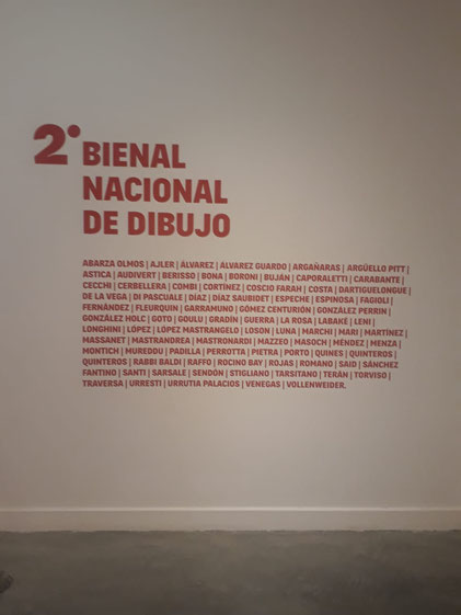 Bienal Nacional de Dibujo. Museo Franklin Rawson. San Juan. 2021.