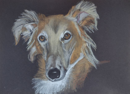 Henry I, Pastell, 24 x 34 cm, 2024