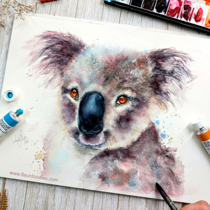 Koala #238