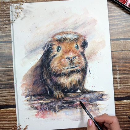 Meerschweinchen #246
