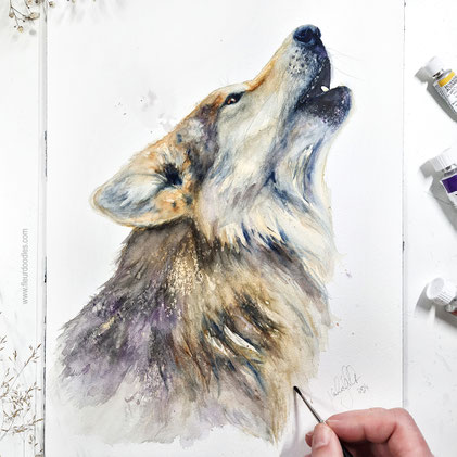 Wolf #224