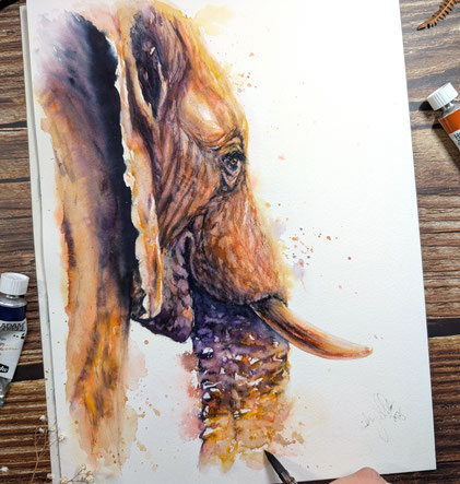 Elefant #250