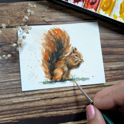 Eichhörnchen #M4