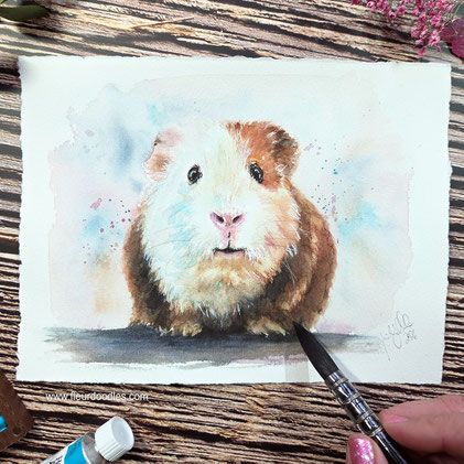 Meerschweinchen #279