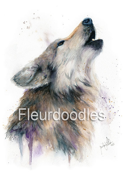 Wolf #228