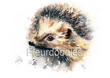 Igel #215