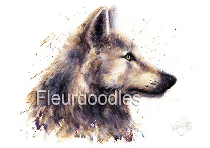 Wolf #241