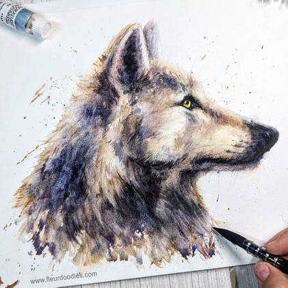 Wolf #241