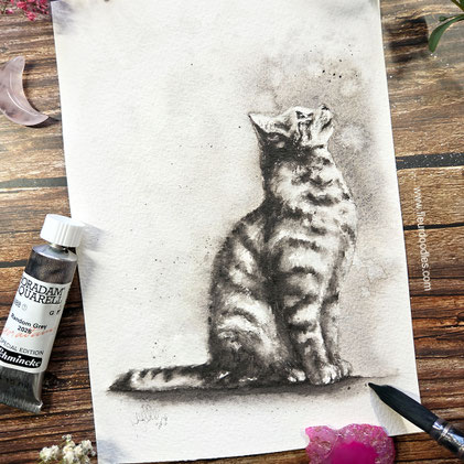 Katze #278