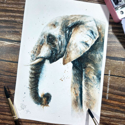 Elefant #262