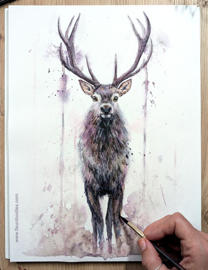 Hirsch #237