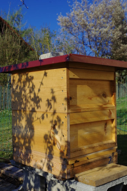 Bienenbeute im Zandermaß - Üblich in der Imkerei.