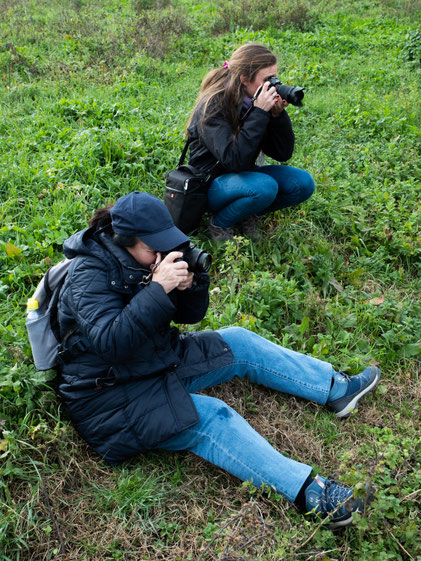 *fotos provisionales.