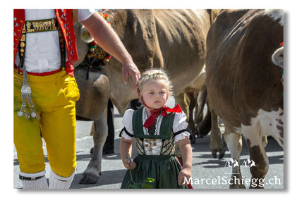 Marcel Schiegg, Fotografie, Brauchtum, Tradition, Alpfahrt, Öberefahre, Alpaufzug, Alpabzug, Alpstein, Appenzell, Schweiz, Appenzeller Tracht