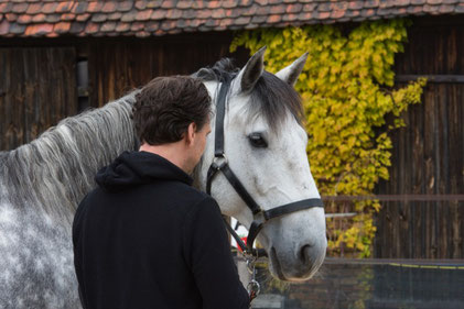 Einzelcoaching