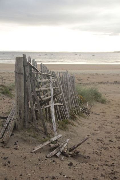 verfallener Staketenzaun, Düne, Strand, Mullaghmore