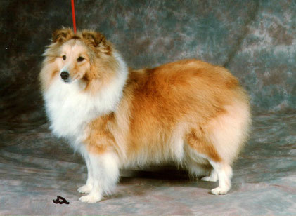 CH Sommerville Seed Pearl