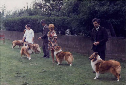 Collie show in the early years