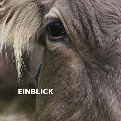 Wildkräuterteemischung