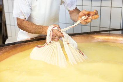 Foto Gutgereift Thomas Steinlechner