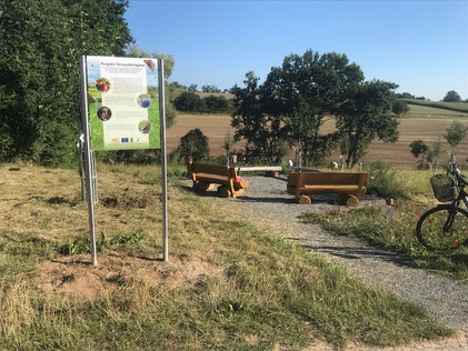 Von der Sitzgruppe aus hat man einen schönen Blick auf die Streuobstwiese am Birkenberg. Foto: LAG Aischgrund/Maria Schwarm