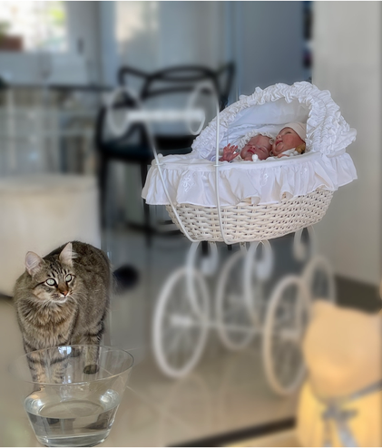 Außer Katzen habe ich auch noch drei Puppen :-)))
