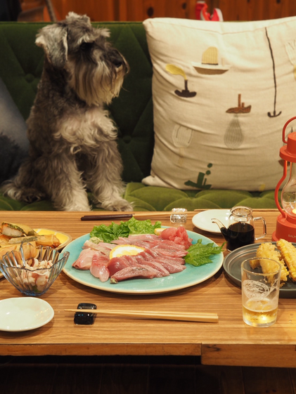室戸市にある浦戸屋という魚屋さんで購入した、カツオやカンパチの刺身がブルーのお皿に並び、その横にはWeg Farmさんで獲れたプレミアム味来という品種のとうもろこしを天ぷらにしたもの、ガラスに入った醤油が並び、グリーンのソファーには刺繍入りのクッションと御ニチュアシュナウザーがお座りしています