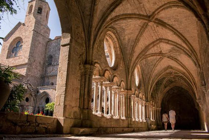 Abbaye de Fontfroide, Fête des plantes et du massif 2020