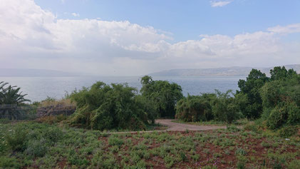 The Sea of Galilee view from the South