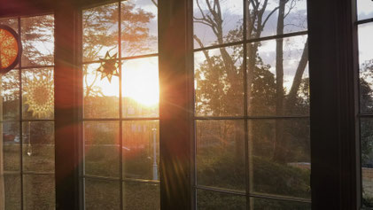 クロイツ 四季の窓辺1 バッチフラワー バイオグラフィーワークのクロイツへようこそ