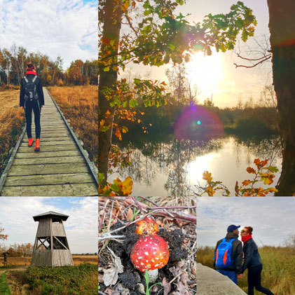 Moor, Hille, Hiller Moor, Oarken, Parkmöglichkeiten, Torfmoor Hille, Freizeitmöglichkeit, Wandern, Urlaub in Deutschland, NRW