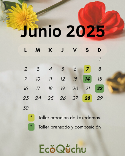 taller de prensado y composición floral en Santader • EcoQuchu