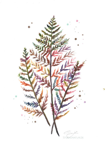 Farn, Farne, fern, Wald, Flora, botanische Illustration, botanical painting, art, Original, Kunstwerk, flower, watercolour, watercolor, contemporaryart, zeigenössiche Kunst, Glitzer, shiny, bunt