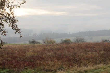 Wanderbeginn am 13.11.16 um 10:00 Uhr bei 3 °C - Blick aus Nähe Friedhof Völkersbach in Richtung Moosalbtal (G. Franke)