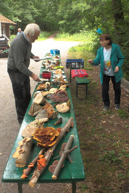 Herr Bernd Miggel (Pilz-Fachmann) mit seiner Frau am Pilzstand
