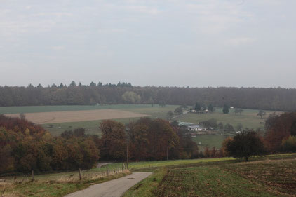 Rimmelsbacher Hof