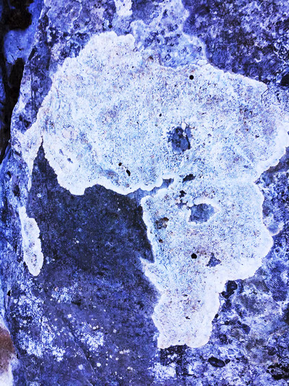                     Africa with Madagascar on the left (lichen on the rock)
