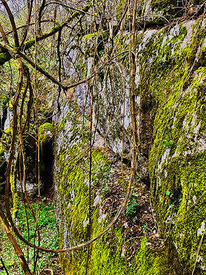                 Wild Beauty, Mountain Kita, Montenegro