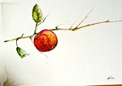 Apfel, Zeichnung, Aquarell 2026