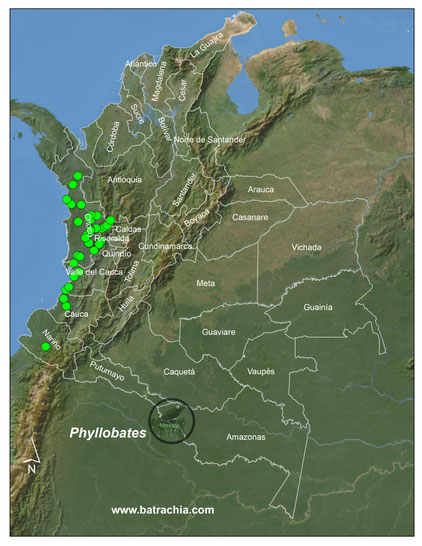 Distribución del Género en Colombia