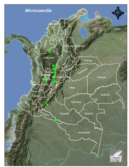 Distribución del género en Colombia