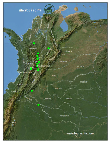 Distribución del género en Colombia