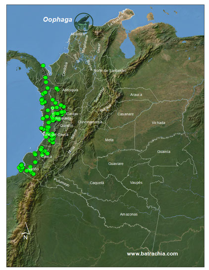 Distribución del Género en Colombia