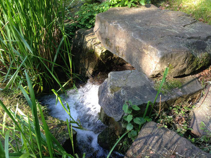 Zulauf Elsche-Wasser in den Ahnepark