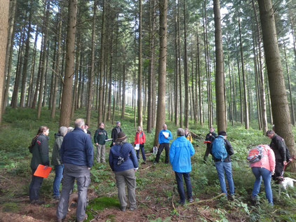 Waldbegehung mit der Arbeitsgruppe, September 2024