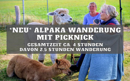 Alpaka Wanderung mit Picknick in der Natur