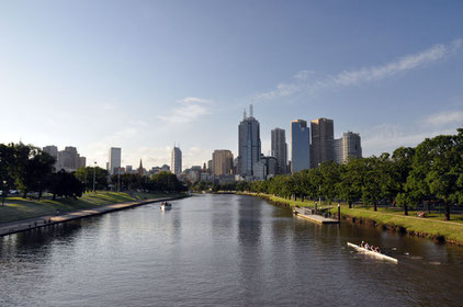 Rowers on the Yarra before the CBD