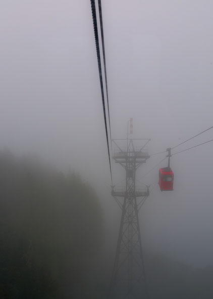 Auf dem Weg zum Zwölferhorn, 1.521 m