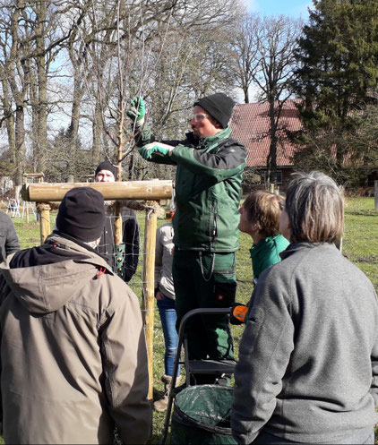Torsten Brunkhorst zeigt den richtigen Schnitt direkt am Baum. Foto: Bettina Schroeder